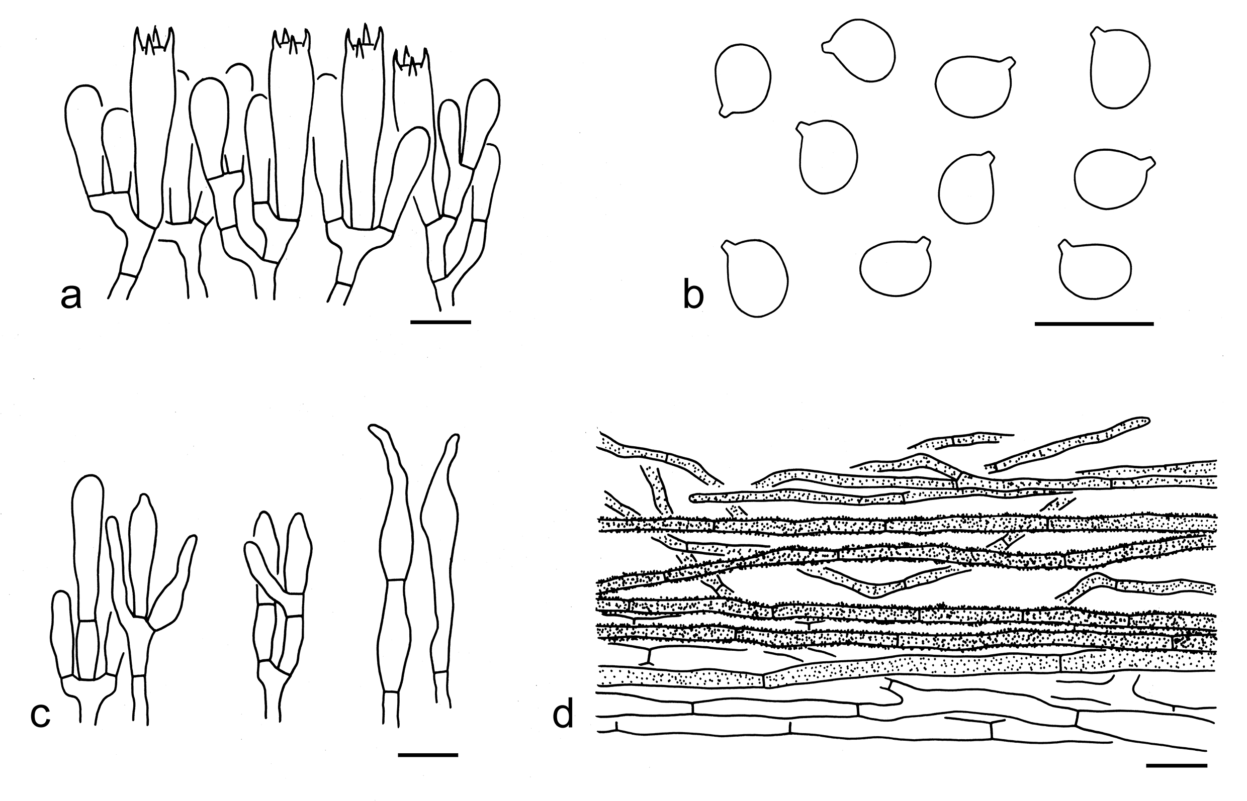 Figure 54